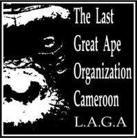LAGA Cameroon Annual Reports