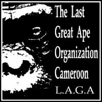 Link to LAGA Cameroon