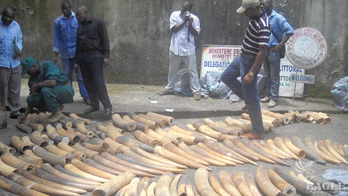 One tonne of ivory seized, 3 military personnel jailed 