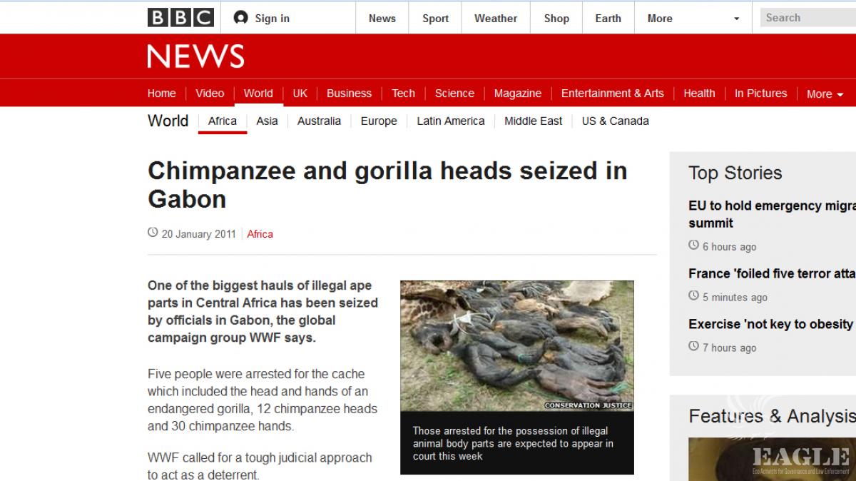 Article at BBC