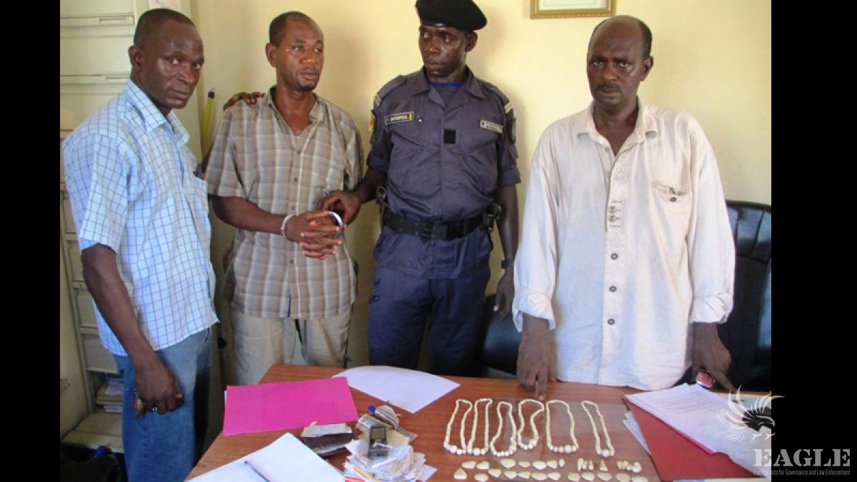 November 28, 2013: Trafficker arrested with ivory in Conakry