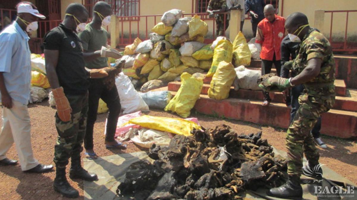 November 29, 2014: 5 traffickers arrested with 2 tons of bushmeat in Ebola Period, one sentenced to 3 year imprisonment.