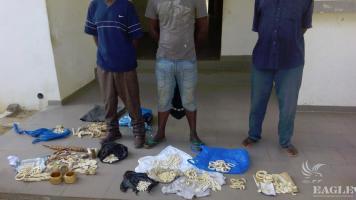 3 ivory traffickers arrested