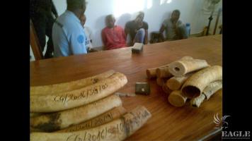 3 ivory traffickers were arrested with 35 kg ivory