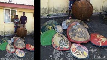 2 arrested with 9 sea turtle shells