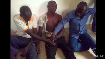 3 ivory traffickers arrested with 12 kg of ivory