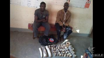 2 ivory traffickers arrested with 21 kg of ivory