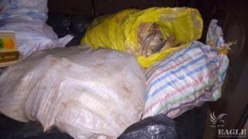 A Senior Presidential Adviser arrested with 183 kg of hippo teeth