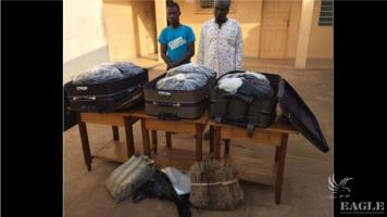 3 traffickers arrested with 783 python skins