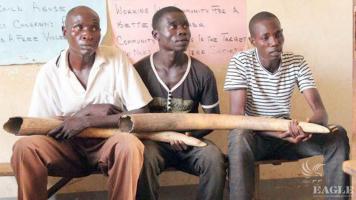 5 ivory traffickers arrested