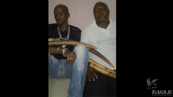 2 Ivory traffickers arrested with 4 elephant tusks