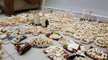 2 international traffickers arrested with 780 carved ivory items