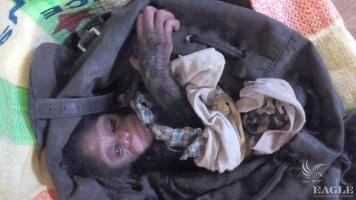 A baby chimp rescued and a wildlife trafficker arrested