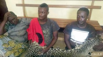 4 traffickers arrested with 2 leopard skins