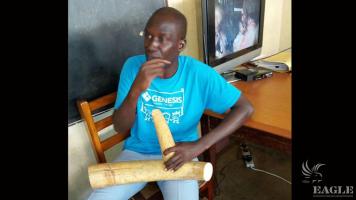 A trafficker arrested with more than 20kg Ivory