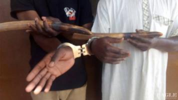 2 traffickers arrested with 2 tusks