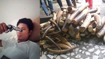 Crackdown on a Vietnamese Ivory Criminal Syndicate