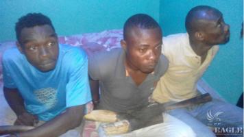 3 arrested with Ivory and an elephant tail