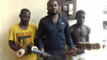 3 traffickers arrested with 6 pieces of ivory
