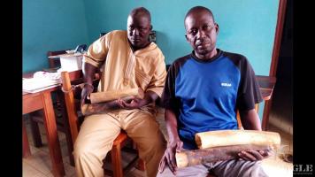 2 ivory traffickers, both Senegalese, arrested with 2 ivory tusks