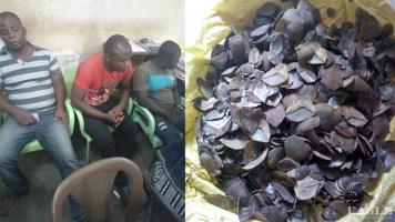4 traffickers including a corrupt policeman arrested with 270kg of pangolin scales
