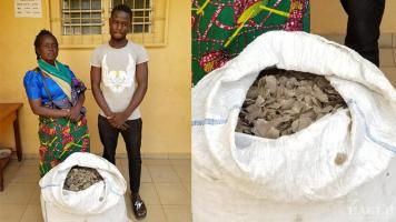 2 traffickers arrested with 37 kg of pangolin scales