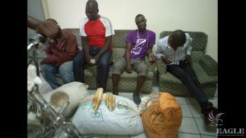 4 traffickers arrested with  pangolin scales