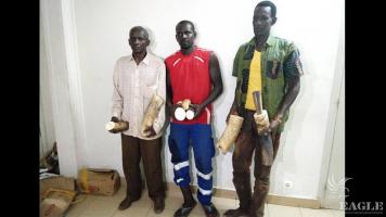 3 Senegalese traffickers arrested with two tusks