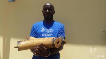 An ivory trafficker arrested with two tusks