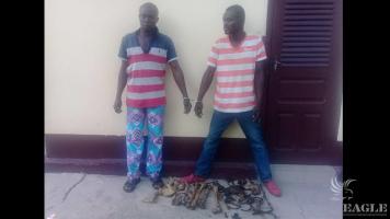 2 human bones traffickers arrested