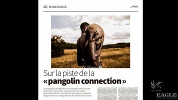 On the trail of the pangolin connection