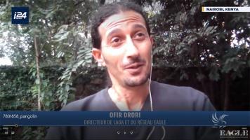 Interview with Ofir on i24news on illegal trade with pangolins