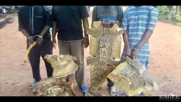 4 traffickers arrested with an elephant tusk and several carved ivory items, an elephant tail and 8 pieces of elephant hide, a hippo skull and teeth , 8 crocodile skins
