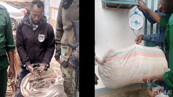 A trafficker arrested with 55 kg of pangolin scales