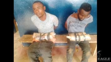 2 traffickers arrested with 6 pieces of ivory