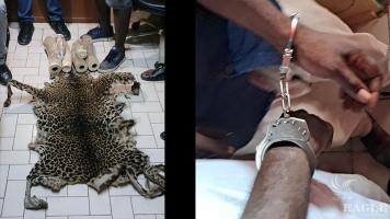 3 traffickers arrested with 6 pieces of elephant tusks and a leopard skin