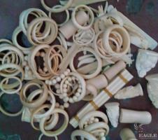 November 2014, Congo: 2 ivory traffickers arrested in Pointe-Noire with 7 kg of carved ivory.
