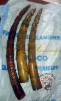 March 2015, Congo: 3 traffickers were arrested with 3 tusks in Pointe Noire.