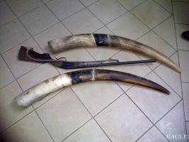 February 2015, Gabon: 2 arrested for ivory trafficking