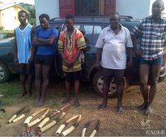 January 2015, Gabon: 10 ivory tusks seized from 5 traffickers who were arrested.