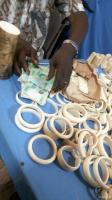 March 2015, Congo: The biggest known ivory trafficker in Congo – Francois Ikama was arrested red handed, but corruption remains a challenge for prosecuting