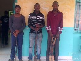 New arrest in Gabon: 2 traffickers and poacher with ivory