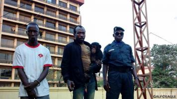 Two chimp traffickers arrested, baby chimp rescued