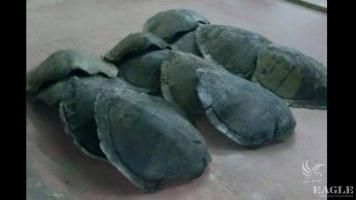 A trafficker with 12 shells arrested