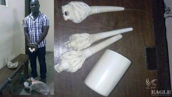 An ivory trafficker arrested with carved ivory