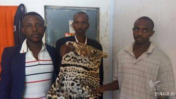 3 Rwandese  with a leopard skin