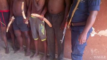 5 ivory traffickers behind bars