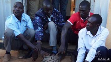 4 traffickers arrested with two giant pangolins