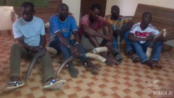 5 ivory traffickers arrested with 4 tusks