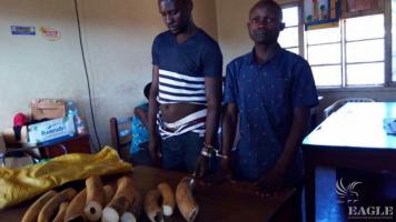 2 ivory traffickers arrested including a military officer